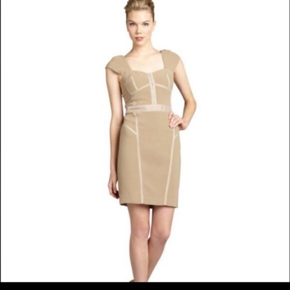 Rebecca Taylor Light Brown Sweetheart Bodice Dress - Picture 1 of 10